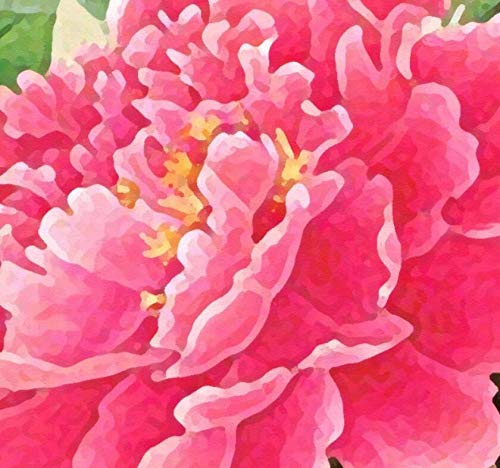 Papel Pintado Fotomurales 3D Flor De Peonía De Estilo Chino Pintado A Mano Papel pintado no tejido Decoración de Pared decorativos Murales 150x105 cm