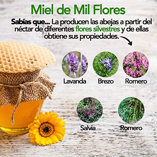 Paquete x 6 - Miel de Mil Flores - 500 gr x Botella. Miel natural, no pasteurizada ni calentada. Miel pura producida en España. Miel cruda con aroma floral y exquisito sabor.