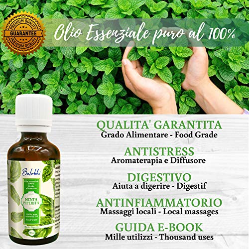 parent aceite (Ment Piperita)