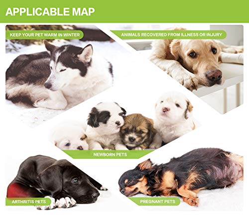 Pecute Manta Electrica Gato, Manta Termica para Gato 5 Ajustes de Temperatura y 2 Cubiertas de Franela, Incombustible,Impermeable, Antichoque (S 40 * 32cm)