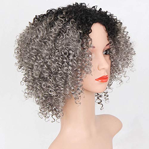 Pelucas de pelo rizado para mujer negra, pelo gris natural para mujeres negras, peluca rizada, pelucas de pelo humano rizado y rizado, pelucas sintéticas onduladas de 30 cm(WS727)