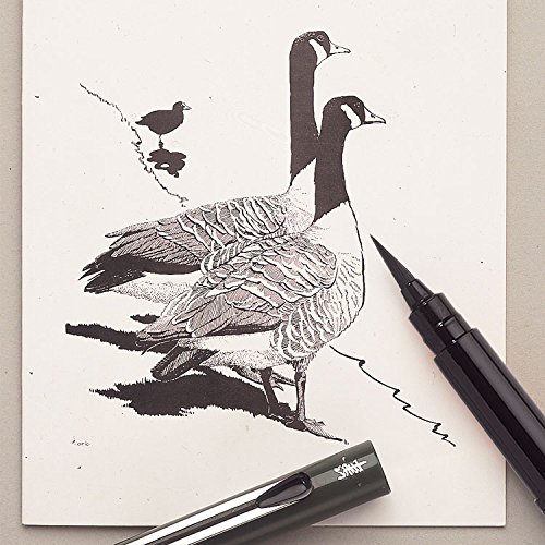 Pentel - Rotulador (punta de pincel), color negro