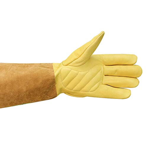 PETSOLA Guantes de Apicultura Extralargos Guantes de Trabajo Pesado de Piel de Vaca Herramientas de Jardinería para Abejas Suministros para Apicultura - L