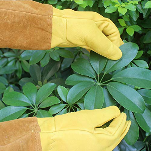 PETSOLA Guantes de Apicultura Extralargos Guantes de Trabajo Pesado de Piel de Vaca Herramientas de Jardinería para Abejas Suministros para Apicultura - L