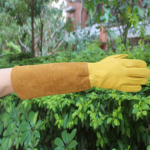 PETSOLA Guantes de Apicultura Extralargos Guantes de Trabajo Pesado de Piel de Vaca Herramientas de Jardinería para Abejas Suministros para Apicultura - L