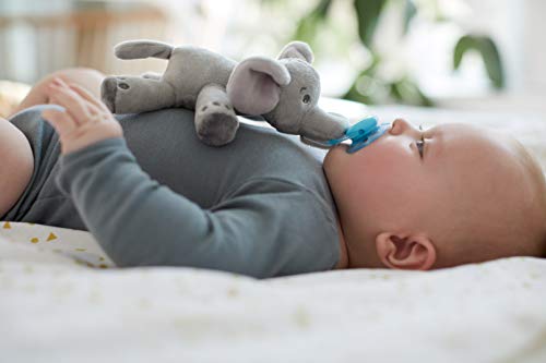 Philips Avent Peluche con chupete SCF348/13 - Peluche de elefante con chupete ultra soft, sin BPA, 0-6 meses