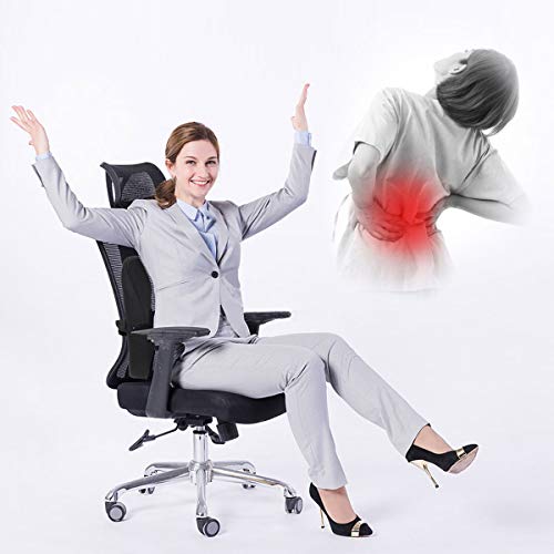 PHILORN Cojin Lumbar Coche, Respaldo Lumbar Ergonómico para Silla Oficina, Apoyo Almohada Lumbar de Espuma Memoria Suave, Reducir el Dolor de Espalda