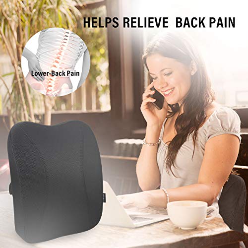 PHILORN Cojin Lumbar Coche, Respaldo Lumbar Ergonómico para Silla Oficina, Apoyo Almohada Lumbar de Espuma Memoria Suave, Reducir el Dolor de Espalda