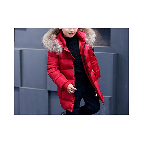 Phorecys - Abrigo de invierno con capucha con piel - Para niño granate 5-6 Años