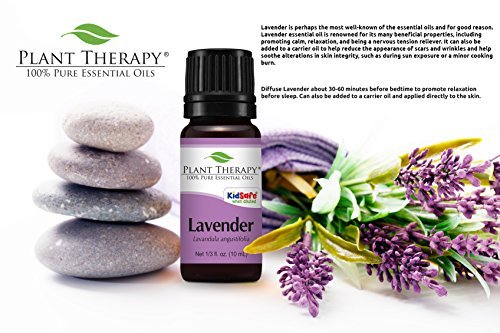 Plant Therapy Lavender Essential Oil | 100% Pure, Undiluted, Natural Aromatherapy, Therapeutic Grade | 10 mL (1/3 oz)