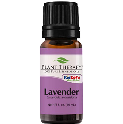 Plant Therapy Lavender Essential Oil | 100% Pure, Undiluted, Natural Aromatherapy, Therapeutic Grade | 10 mL (1/3 oz)