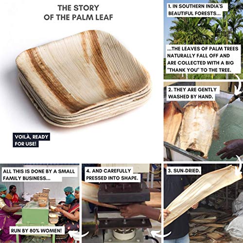 Plantvibes Platos de Hoja de Palma Naturales, 100% compostables & CO2-neutral - 25 Piezas de 15 x 15 cm - Platos de Madera, Vajillas de Madera
