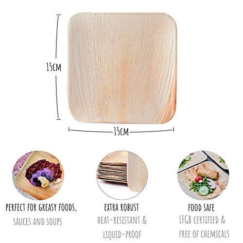 Plantvibes Platos de Hoja de Palma Naturales, 100% compostables & CO2-neutral - 25 Piezas de 15 x 15 cm - Platos de Madera, Vajillas de Madera