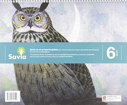 Plástica. 6 Primaria. Savia. Comunidad de Madrid