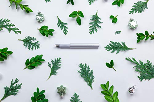 Pluma estilográfica Schneider Ceod Shiny (para diestros y zurdos, pluma M, incluye Cartucho de tinta azul real), color gris piedra