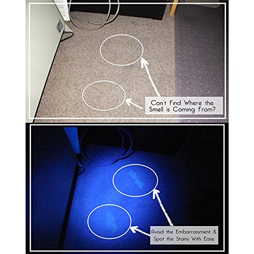 Pocketman 9 LED Ultra Violeta LED Linterna/Blacklight, Linterna UV LED, 395nm, Pet Detector de orina y manchas, encontrar manchas en la ropa, alfombras o alfombras
