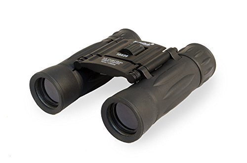 Prismáticos Ultra-Compactos Levenhuk Atom 10x25 con Óptica de Vidrio BK-7 con Revestimiento Completo para Obtener Imágenes Realistas con Colores Naturales