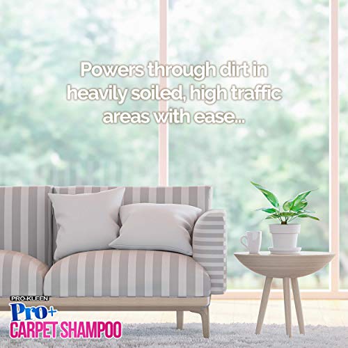 Pro-Kleen Pro+ - Solución de limpieza de alfombras y tapicería - 4 en 1, concentrado - Apta para todas las máquinas de lavado de alfombras 5 L (flor de primavera)