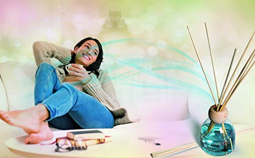 Profumi & Co - Aromakology - El único ambientador casa Que Funciona sin Girar los palitos - Difusor Aromas Súper Concentrado - Dura 70 días