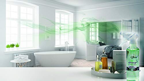 Profumi & Co–Ambientador Spray Luxury Profesional-Ambientador Coche,Hogar,Trabajo-Fragancias para ambientes-Ambientador Coche Nuevo-Quita Malos Olores-300 ml Made in Italy (OBlack)