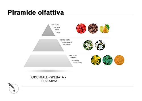 Profumi & Co–Ambientador Spray Luxury Profesional-Ambientador Coche,Hogar,Trabajo-Fragancias para ambientes-Ambientador Coche Nuevo-Quita Malos Olores-300 ml Made in Italy (OBlack)