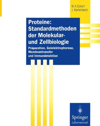 Proteine: Standardmethoden der Molekular- und Zellbiologie: Präparation, Gelelektrophorese, Membrantransfer und Immundetektion (Springer Labormanuale) (German Edition)
