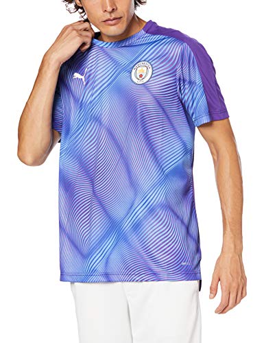Puma Men's MCFC Stadium League Jersey Polo Shirt, Tillandsia Purple-Team Light Blue, M