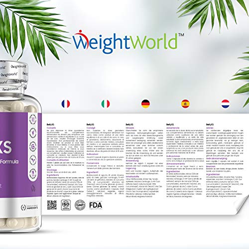 QuemaGrasas Abdominal | Potente Termogénico Natural Adelgazante Para mujer y Hombre, Con Té Verde, Vinagre de Manzana, Vitamina B y Garcinia Cambogia, Supresor Apetito, 60 Cápsulas Veganas y Keto