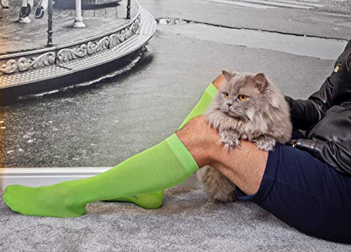 Rainbow Socks - Hombre Mujer Altos Calcetines Largos Hasta de Rodilla de Algodón - 12 Pares - Blanco Gris Negro Turquesa Azul Azul Marino Verde Rojo Amarillo Naranja Rosa - Talla 36-38