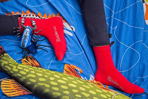 Rainbow Socks - Niños y Niñas - Calcetines de Algodón - 6 Pares - Naranja Rojo Amarillo Azul Verde Rosa - Talla 30-35