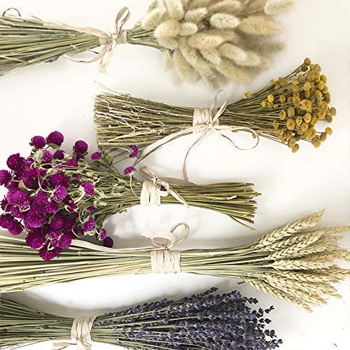 Ramo de flores secas perpetuina. RAMO SECO NATURAL. flores naturales. flores secas