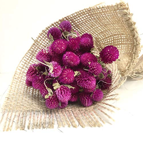 Ramo de flores secas perpetuina. RAMO SECO NATURAL. flores naturales. flores secas