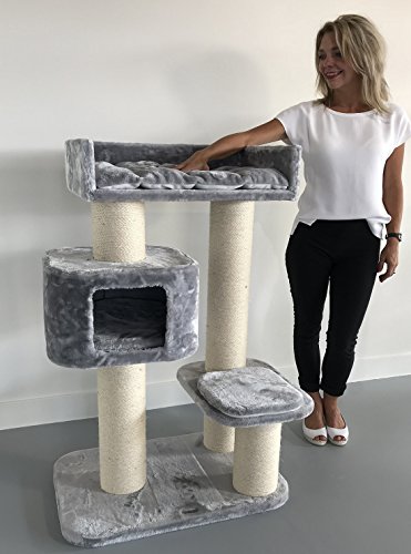 Rascador para gatos grandes Devon Rex Gris claro baratos arbol xxl maine coon gato adultos con hamaca gigante sisal muebles sofa escalador torre Árboles rascadores cama cueva repuesto medianos
