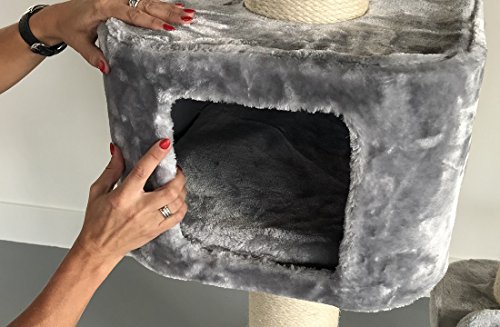 Rascador para gatos grandes Devon Rex Gris claro baratos arbol xxl maine coon gato adultos con hamaca gigante sisal muebles sofa escalador torre Árboles rascadores cama cueva repuesto medianos