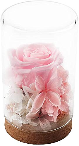REAWUL Rosa de Flores Preservadas - Idea de Regalo para Ella, Rosas Nunca Marchitas Rosa Eterna para Niñas, Regalo para el Día de San Valentín Aniversario Navidad Cumpleaños Boda Vacaciones