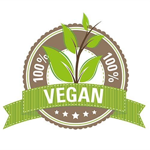 REVE Óleo Sérum Bio - Sérum Facial Orgánico - Hombre y Mujer, Día y Noche - con 5 tipos de aceites - apto para veganos y pieles sensibles -15 ml