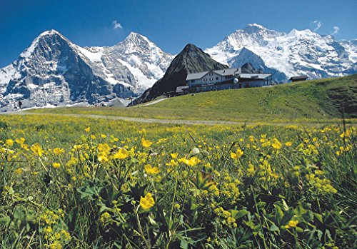 RICOLA - CARAM. LIMON MELISA S/A 50G