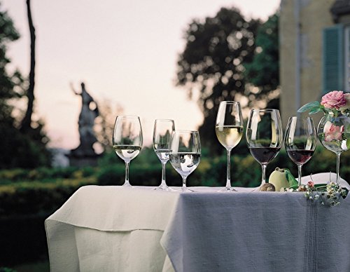 RIEDEL 6408/48 OUV.Champagne (Estuche 2 Copas)