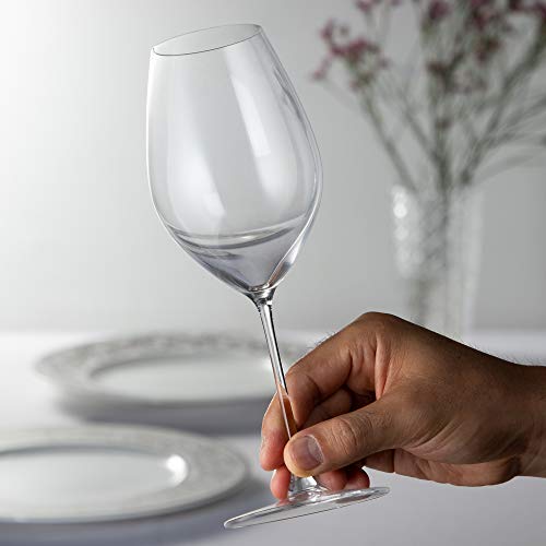 RIEDEL 6449/28 Veritas Champagne Wine Glass (Estuche 2 Copas)