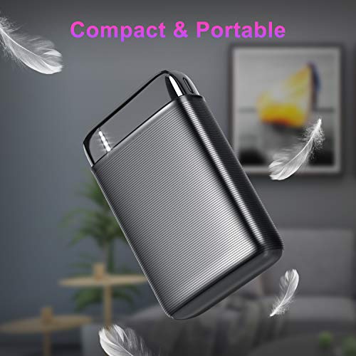 RIWNNI Mini Bateria Externa 10000mAh, Gran Capacidad Power Bank Pequeño y Ligero Batería Portátil con 2 Salida & 2 Entrada Carga Rápida Cargador Portatil Movil para iPhone, iPad, Samsung y Más - Negro