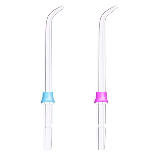 Rociador estándar de la higiene oral 2pcs para Waterpik WP-100 WP-450 WP-250 WP-300 WP-660 WP-900