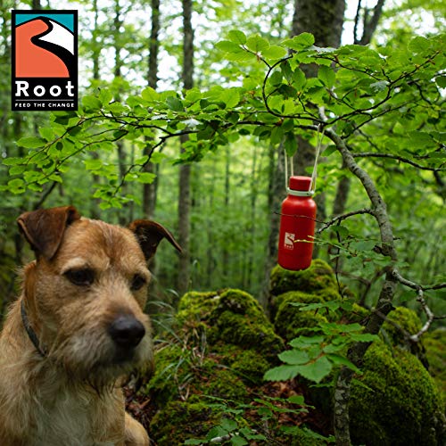 Root-FTC Botella térmica de Acero Inoxidable con Doble Pared y tapón antigoteo de 530 ml, 700 ml y 940 ml - Disponible en 10 Colores - Mantenga Las Bebidas frías/Calientes ~ 24 Horas