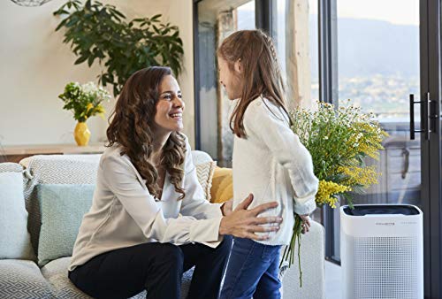 Rowenta Pure Air PU3040 - Purificador, filtración alérgenos y partículas finas, 120 m², modo automático día y noche, temporizador, apagado automático, encendido programable, indicador cambio filtro