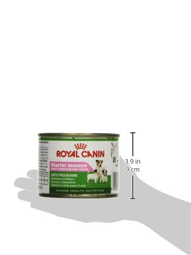 Royal Canin C-08313 Starter Mousse, 195 gr, paquete de 12