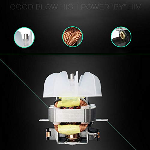 Salon Hair Dryer,Professional Negative Ion Blow Dryers 3000W,2 Speed 3 Heat Settings,with Collecting Nozzle+Diffuser + Comb,Constant Temperature Hair Care,for Home and Salon