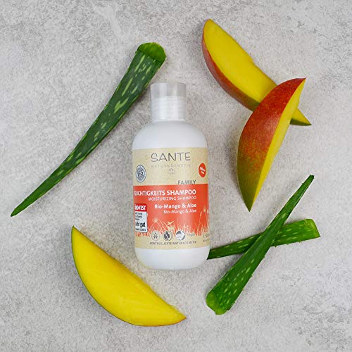 Sante - Cosmético natural, champú hidratante orgánico de mango y aloe, aroma frutal, proporciona hidratación para un cabello brillante, pack doble (2 x 200 g)