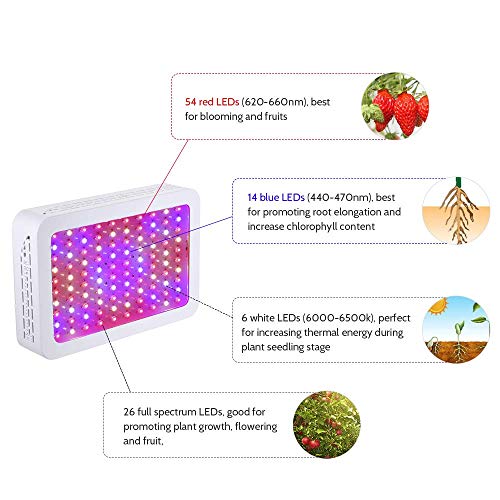 Sawpy LED Grow Light 1000w Lámpara UV IR LED Espectro Completo LED de crecimiento para plantas medicinales, invernadores vegetativos y flores en interior o lugares faltan de luz de sol