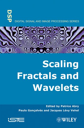 Scaling, Fractals and Wavelets (Iste Book 352) (English Edition)