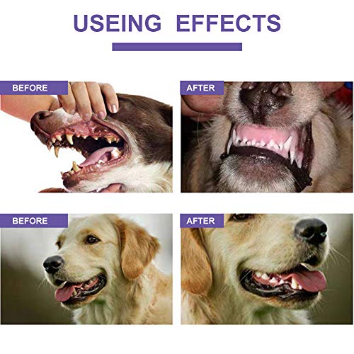 SEGMINISMART Spray Dental para Mascota, Pet Dental Spray, Ambientador para Aliento De Mascotas, Elimina El Olor, Reduce La Acumulación De Placa Y Sarro