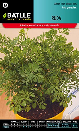 Semillas Aromáticas - Ruda - Batlle